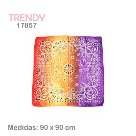 Pañuelo Trendy